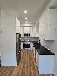 822 Maitland Street - Rear - Photo 3