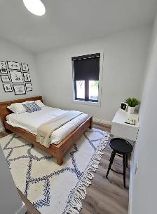 822 Maitland Street - Rear - Photo 5