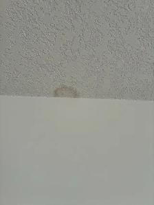 painter available - Photo 6