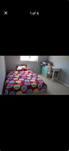 PRIVATE ROOM FOR RENT
