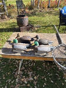 various decoys