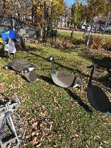 various decoys - Photo 2
