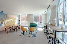 One Bedroom Apartment Available in Hintonburg - Photo 3