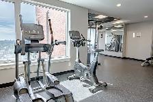 One Bedroom Apartment Available in Hintonburg - Photo 12