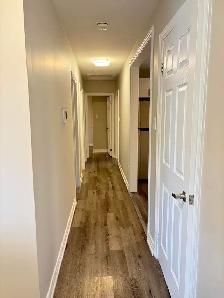 Renovated 3 Bed, 2 Bath Main Floor | 3 Parking, Laundry & Yard - Photo 12