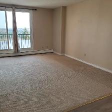 Specious 1-Bedroom Apartment with Spectacular River View - Photo 5