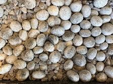 Smooth River Rock for Downspout Splash Pads & Landscape Borders - Photo 2