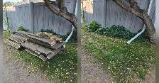 Edmonton Junk Removal | Affordable | Top Rated | Owner Operated - Photo 7