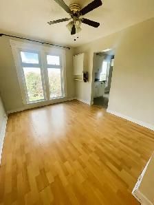 Bright & Spacious Three Bedroom Apartment in Trenton $1650 - Photo 4