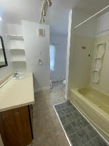 Bright & Spacious Three Bedroom Apartment in Trenton $1650 - Photo 10