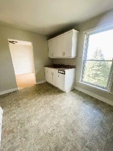 Bright & Spacious Three Bedroom Apartment in Trenton $1650 - Photo 11