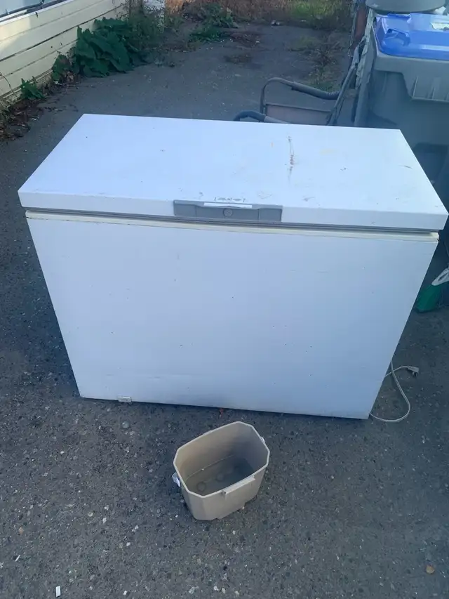 4’ chest freezer 45.00 obo need gone asap