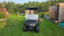 golf cart - Photo 3