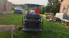 golf cart - Photo 5