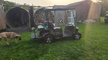 golf cart - Photo 6