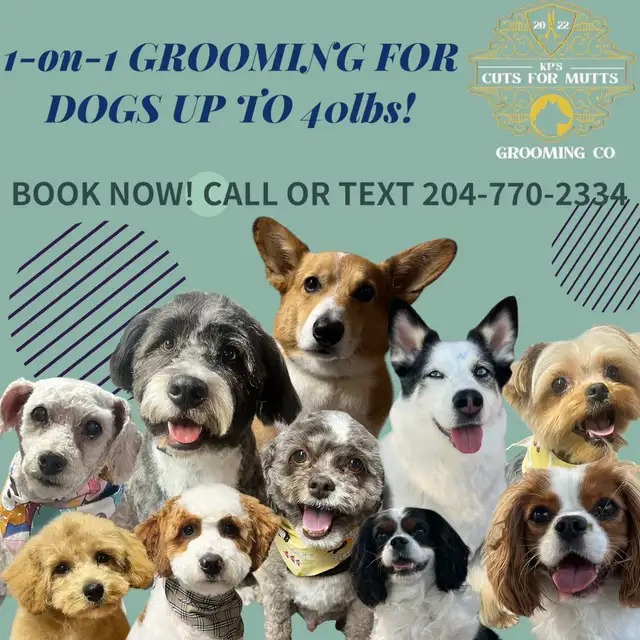 Dog Grooming