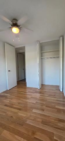 3 Bed, Main Floor / Renovated / New Kitchen / Garage Yard Avail. - Photo 6