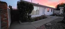 3 Bed, Main Floor / Renovated / New Kitchen / Garage Yard Avail. - Photo 10