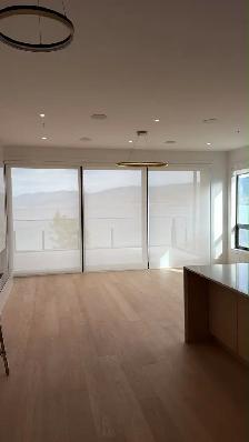 Blinds and Curtains