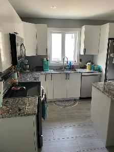 3 Bedroom, 3 Bathroom Apartment - Photo 6