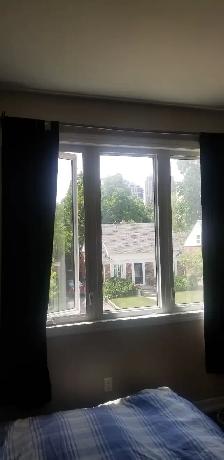 Roommate Yonge & Sheppard - Photo 2