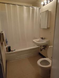 Studio unit  for Dec. 1 at 541 cosmo Pl. Call 2042961573 to view - Photo 3
