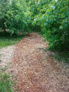 Clean Cedar Playground Chips for Safe Soft Play Areas