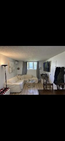 Appartement 2 chambres à louer Aylmer!