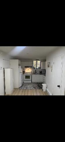 Appartement 2 chambres à louer Aylmer! - Photo 2