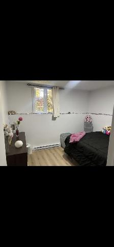 Appartement 2 chambres à louer Aylmer! - Photo 6