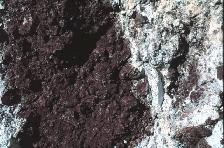 Porous Lava Rock for Succulent Gardens & Fire Feature Accents - Photo 2