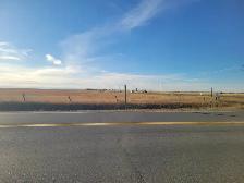 145 Acres Land for Sale on Glenmore & Range Road 280 (HWY 791) - Photo 5