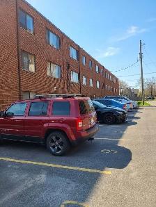 BRIGHT TWO BEDROOM APARTMENT ON HAMILTON MOUNTAIN! - Photo 8
