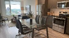 Hintonburg Connection: One Bed Apartment Available