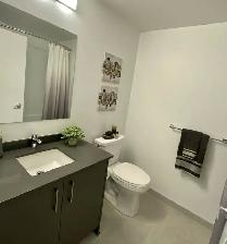 Hintonburg Connection: One Bed Apartment Available - Photo 2