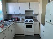 Non-Smoking Apartment for Rent: Heat, Water, Fridge and Stove - Photo 3