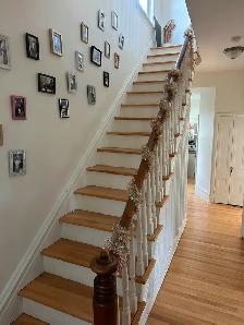 Beautiful South end Detached Home for Rent - Photo 2