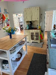 Beautiful South end Detached Home for Rent - Photo 3