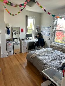 Beautiful South end Detached Home for Rent - Photo 8