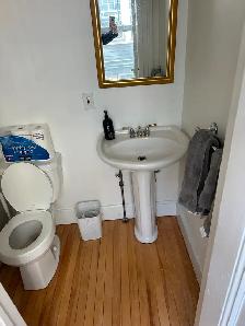 Beautiful South end Detached Home for Rent - Photo 11
