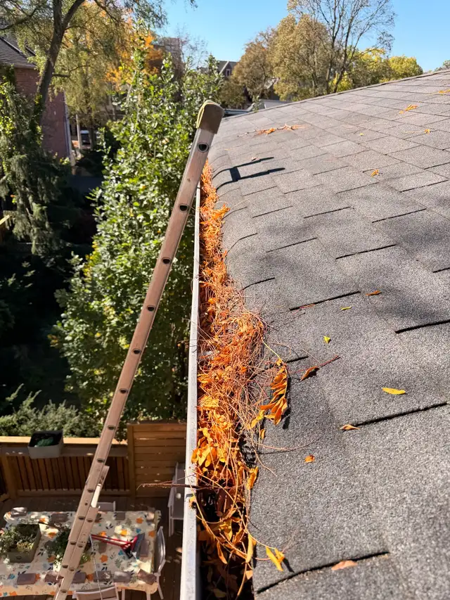 Professional Window & Eavestrough Cleaning | Free Estimates