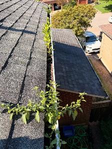 Professional Window & Eavestrough Cleaning | Free Estimates - Photo 9