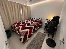 RENTAL:  3 Beds 2 Baths - Apartment - Photo 5