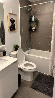 RENTAL:  3 Beds 2 Baths - Apartment - Photo 6