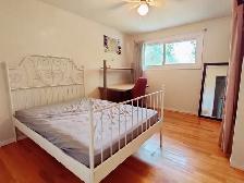 Large Private Bedroom Near Carleton & Algonquin- Dec 1st - Photo 2