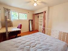 Large Private Bedroom Near Carleton & Algonquin- Dec 1st - Photo 3