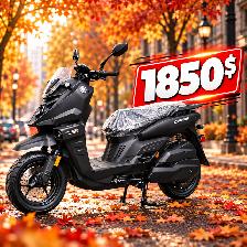 Scooter électrique XL, pneus 12 pouces, freins à disques