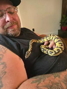 Hypo Tangerine King Snake and Ball Python - Photo 5