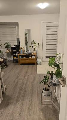 Spacious room for rent at Cambridge - Photo 3
