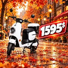 Cyclomoteur électrique 800 watts - 55km/h